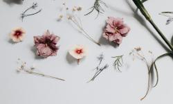 Featured image of post 图文测试